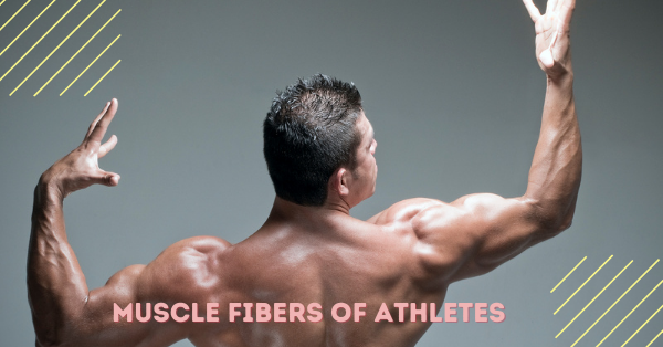 Athletes Muscle Fibers