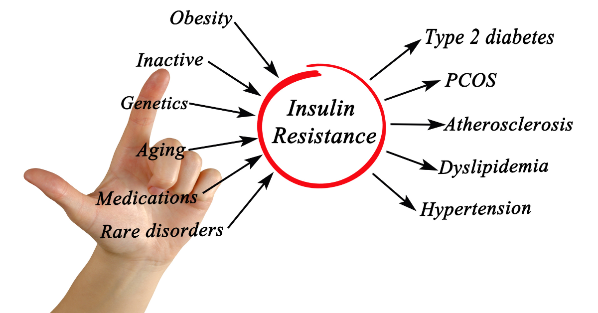 Low Carb Diet and Insulin Resistance